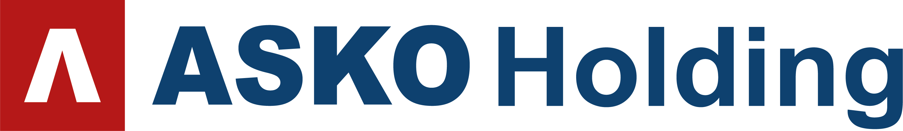 ASKO Holding